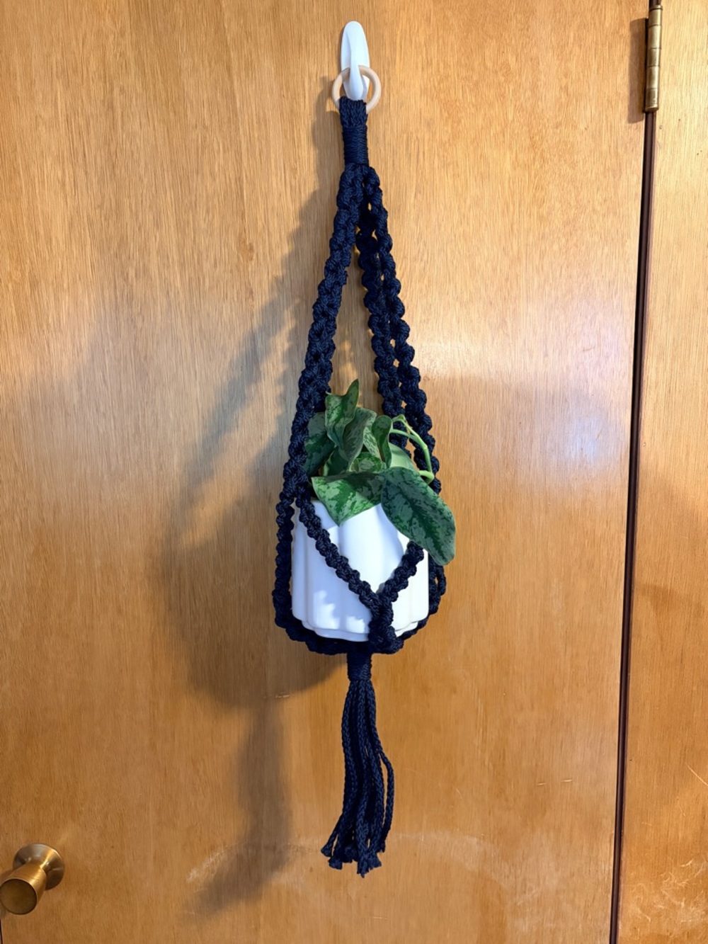 Handmade Macrame Plant Hanger. PLANT AND POT NOT INCLUDED.